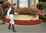 30 August 2015; Jockey Pat Smullen before competing on Juliette Fair in the Round Tower Stakes. Curragh Racecourse, Curragh, Co. Kildare. Picture credit: Cody Glenn / SPORTSFILE