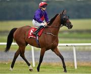 30 August 2015; Jockey Chris Hayes rides Aussie Valentine to the start before the Tote Irish Cambridgeshire. Curragh Racecourse, Curragh, Co. Kildare. Picture credit: Cody Glenn / SPORTSFILE