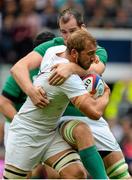 5 September 2015; Chris Robshaw, England, is tackled by Devin Toner, Ireland. Rugby World Cup Warm-Up Match, England v Ireland. Twickenham Stadium, London, England. Picture credit: Brendan Moran / SPORTSFILE
