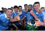 1 June 2016; Dublin players celebrate after the Bord Gáis Energy Leinster GAA Hurling U21 Championship, Quarter-Final, between Wexford and Dublin in Innovate Wexford Park. Photo by Matt Browne/Sportsfile