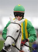 10 March 2009; Ebaziyan, with Paul Townend up, ahead of the Smurfit Kappa Champion Hurdle. Cheltenham Racing Festival - Tuesday, Prestbury Park, Cheltenham, Gloucestershire, England. Picture credit: Stephen McCarthy / SPORTSFILE