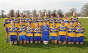 15 March 2009; The Clare team. Bord Gais Energy Ladies National Football League, Round 5, Division 1B, Dublin v Clare, Naomh Mearnog, Portmarnock, Co. Dublin. Picture credit: Pat Murphy / SPORTSFILE