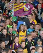 12 September 2015; Wexford supporters cheer on their side. Bord Gais Energy GAA Hurling All-Ireland U21 Championship Final, Limerick v Wexford, Semple Stadium, Thurles, Co. Tipperary. Picture credit: Brendan Moran / SPORTSFILE