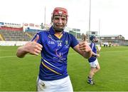12 September 2015; Padraig Doyle, Wicklow, celebrates after victory over Meath. Bord Gais Energy GAA Hurling All-Ireland U21 B Championship Final, Meath v Wicklow, Semple Stadium, Thurles, Co. Tipperary. Picture credit: Diarmuid Greene / SPORTSFILE