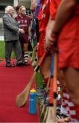 13 September 2015; Members of the Cork and Galway teams are presented to The President of Ireland Michael D. Higgins before the start of the game. Liberty Insurance All Ireland Senior Camogie Championship Final, Cork v Galway. Croke Park, Dublin. Picture credit: David Maher / SPORTSFILE
