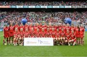 13 September 2015; The Cork squad. Liberty Insurance All Ireland Senior Camogie Championship Final, Cork v Galway. Croke Park, Dublin. Picture credit: David Maher / SPORTSFILE