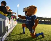 12 September 2015; Leo The Lion during the game. Guinness PRO12, Round 2, Leinster v Cardiff Blues. RDS, Ballsbridge, Dublin. Picture credit: Stephen McCarthy / SPORTSFILE
