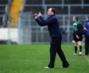 29 March 2009; Dublin manager Anthony Daly during the game against Tipperary. Allianz GAA NHL Division 1, Round 5, Tipperary v Dublin, Semple Stadium, Thurles, Co. Tipperary. Picture credit: Matt Browne / SPORTSFILE
