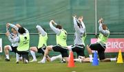 30 March 2009; Republic of Ireland players stretcing during squad training ahead of their 2010 FIFA World Cup Qualifier against Italy on Wednesday. Gannon Park, Malahide, Co. Dublin. Picture credit: David Maher / SPORTSFILE