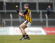 29 March 2009; Michael Rice, Kilkenny. Allianz GAA NHL Division 1, Round 5, Clare v Kilkenny, Cusack Park, Ennis, Co. Clare. Picture credit: Brian Lawless / SPORTSFILE