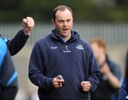 5 April 2009; Dublin manager Anthony Daly reacts after his side scored the equalising point. Allianz GAA NHL Division 1 Round 6, Dublin v Clare, Parnell Park, Dublin. Picture credit: Pat Murphy / SPORTSFILE