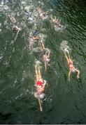 19 September 2015; A general view of female competitors in action during the Dublin City Liffey Swim. Dublin City Liffey Swim. Dublin. Picture credit: Cody Glenn / SPORTSFILE