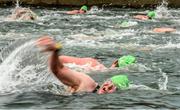 19 September 2015; A general view of competitors in action during the Dublin City Liffey Swim. Dublin City Liffey Swim. Dublin. Picture credit: Cody Glenn / SPORTSFILE