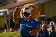 12 September 2015; Leinster mascot Leo The Lion. Guinness PRO12, Round 2, Leinster v Cardiff Blues, RDS, Ballsbridge, Dublin. Picture credit: Stephen McCarthy / SPORTSFILE