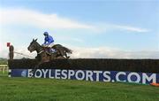 28 April 2009; Eventual winner Rare Bob, with Patrick Flood up, clears the last first time around during the Boylesports.com Champion Novice Steeplechase. 2009 Punchestown Irish National Hunt Festival, Punchestown Racecourse, Co. Kildare. Picture credit: Pat Murphy / SPORTSFILE