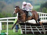 1 May 2009; Mikael D'Haguenet, with Ruby Walsh up, jumps the last on their way to winning the Land Rover Champion Novice Hurdle. 2009 Punchestown Irish National Hunt Festival, Punchestown Racecourse, Co. Kildare. Picture credit: Matt Browne / SPORTSFILE