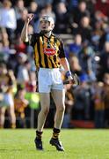 3 May 2009; Kilkenny's TJ Reid celebrates at the final whistle. Allianz GAA NHL Division 1 Final, Kilkenny v Tipperary, Semple Stadium, Thurles, Co. Tipperary. Picture credit: Matt Browne / SPORTSFILE
