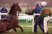 31 December 2000; Istabraq and a dissapointed Charlie Swan  having fallen after the last fence in The AIB Agri Business December Festival Hurdle during day three of the Christmas Festival at Leopardstown Racecourse in Dublin. Photo by Aoife Rice/Sportsfile