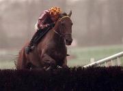 31 December 2000; Rince Ri, with Rugby Walsh up, jumps the last on their way to winning The Ericsson Steplechase during day three of the Christmas Festival at Leopardstown Racecourse in Dublin. Photo by Aoife Rice/Sportsfile