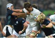 3 October 2015; Lood de Jager, South Africa, is tackled by Blair Cowan, left, and Richie Gray, Scotland . 2015 Rugby World Cup, Pool B, South Africa v Scotland, St James' Park, Newcastle, England. Picture credit: Ramsey Cardy / SPORTSFILE