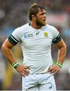 3 October 2015; Duane Vermeulen, South Africa. 2015 Rugby World Cup, Pool B, South Africa v Scotland, St James' Park, Newcastle, England. Picture credit: Ramsey Cardy / SPORTSFILE