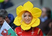 10 October 2015; Welsh supporter Elinor Morris from Beddau, Wales, at the game. 2015 Rugby World Cup, Pool A, Australia v Wales. Twickenham Stadium, London, England. Picture credit: Matt Browne / SPORTSFILE