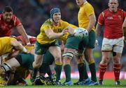 10 October 2015; David Pocock, Australia in action against Wales. 2015 Rugby World Cup, Pool A, Australia v Wales. Twickenham Stadium, London, England. Picture credit: Matt Browne / SPORTSFILE