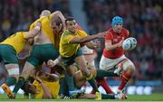 10 October 2015; Will Genia, Australia in action against Wales. 2015 Rugby World Cup, Pool A, Australia v Wales. Twickenham Stadium, London, England. Picture credit: Matt Browne / SPORTSFILE