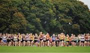 18 October 2015; The start of the Women's Open race. Autumn Open Cross Country. Phoenix Park, Dublin. Picture credit: Tomás Greally / SPORTSFILE