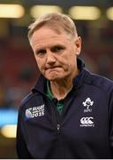 18 October 2015; Ireland head coach Joe Schmidt leaves the pitch after the game. 2015 Rugby World Cup Quarter-Final, Ireland v Argentina. Millennium Stadium, Cardiff, Wales. Picture credit: Brendan Moran / SPORTSFILE