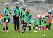 19 October 2015; Players, from Sarsfield GAA Club, Cork, take part in the skills session. Over 650 children travelled to Croke Park today for a very special day out as part of Centra’s Live Well initiative. Young hurlers from 16 different clubs had the once in a lifetime chance to experience the ultimate behind the scenes day out with many of their hurling idols including Henry Shefflin, Seamus Hickey, and Pat Donnellan. Through their partnership with the GAA Hurling All-Ireland Senior Championship Centra has been encouraging children all over Ireland to live healtheir lives encouraging them to be active and educating them on nutrition. For more information see www.centra.ie. Croke Park, Dublin. Picture credit: Seb Daly / SPORTSFILE