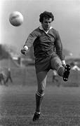 24 June 1981; Mickey Sheedy of Kerry during the Munster Senior Football Championship Semi Final match between Kerry and Clare at Frank Sheehy Park in Listowel, Kerry. Photo by Ray McManus/Sportsfile