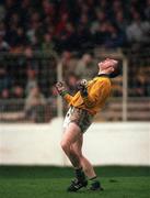 26 April 1998; Padraig Kelly of Offaly celebrates after the Church & General National Football League Final match between Offaly and Derry at Croke Park in Dublin. Photo by Ray McManus/Sportsfile