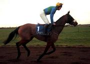 3 December 2000; Arctic Copper, with Ruby Walsh up, go to post prior to winning the Pierse Drinmore Novice Steeplechase at Fairyhouse Racecourse in Meath. Photo by Aoife Rice/Sportsfile