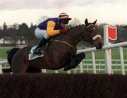 23 January 2000; Frozen Groom, with Paul Carberry up, jumps the last on their way to winning the Baileys Arkle Perpetual Challenge Cup at Leopardstown Racecourse in Dublin. Photo by Matt Browne/Sportsfile