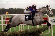 23 January 2000; Gentle Mossy, with Joey Elliott up, jumps the last on their way to finishing fourth in the Ashford Handicap Hurdle at Leopardstown Racecourse in Dublin. Photo by Matt Browne/Sportsfile