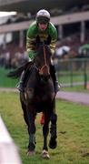 26 December 1999; Go Roger Go, with Norman Williamson up, go to post prior to the Denny Gold Medal Novice Steeplechase on Day One of the Leopardstown Christmas Festival at Leopardstown Racecourse in Dublin. Photo by Ray McManus/Sportsfile