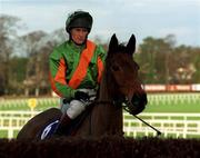 26 December 1999; Irregular Planting, with Kieran Gaule up, prior to the Denny Gold Medal Novice Steeplechase on Day One of the Leopardstown Christmas Festival at Leopardstown Racecourse in Dublin. Photo by Ray McManus/Sportsfile