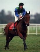 18 November 2000; Pippin's ford, with Joseph Casey up, goes to post prior to the Craddockstown Novice Steeplechase at Punchestown Racecourse in Kildare. Photo by Ray McManus/Sportsfile