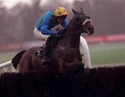 31 December 2000; Champagne Native, with Barry Geraghty up, jumps the last during the William Neville & Sons Novice Steeplechase on day three of the Leopardstown Christmas Festival at Leopardstown Racecourse in Dublin. Photo by Aoife Rice/Sportsfile