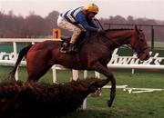 31 December 2000; Ardentium, with Charlie Swan up, jumps the last on their way to finishing fifth in the O'Dwyers Stillorgan Orchard Novice Hurdle on day three of the Leopardstown Christmas Festival at Leopardstown Racecourse in Dublin. Photo by Ray Lohan/Sportsfile