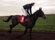 3 December 2000; Liss A Paoraigh with Charlie Swan up go to post prior to winning the Boyle Bookmakers Royal Bond Novice Hurdle at Fairyhouse Racecourse in Meath. Photo by Aoife Rice/Sportsfile