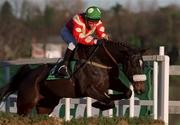 27 December 2000; Mr Ventura, with Mark Madden up, jumps the last on their way to finishing fifth in the Paddy Power Online Handicap Hurdle on Day Two of the Leopardstown Christmas Festival at Leopardstown Racecourse in Dublin. Photo by Matt Browne/Sportsfile
