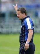14 June 2009; Davy Fitzgerald, Waterford manager. GAA Hurling Munster Senior Championship Semi-Final, Limerick v Waterford, Semple Stadium, Thurles, Co. Tipperary. Picture credit: Brendan Moran / SPORTSFILE