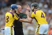 21 June 2009; Wexford players Diarmuid Lyng, left, and David O'Connor remonstrate with referee Cathal McAllister. GAA Hurling Leinster Senior Championship Semi-Final, Dublin v Wexford, Nowlan Park, Kilkenny. Picture credit: Brian Lawless / SPORTSFILE