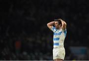 25 October 2015; Argentina's Marcelo Bosch following his side's loss. 2015 Rugby World Cup, Semi-Final, Argentina v Australia. Twickenham Stadium, Twickenham, London, England. Picture credit: Ramsey Cardy / SPORTSFILE