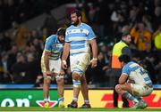 25 October 2015; Argentina's Juan Figallo alongside team-mates at the final whistle. 2015 Rugby World Cup, Semi-Final, Argentina v Australia. Twickenham Stadium, Twickenham, London, England. Picture credit: Ramsey Cardy / SPORTSFILE