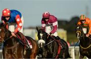 31 October 2015; Don Cossack, with Bryan Cooper up, centre, on the first circuit on their way to winning the JN Wine.com Champion Steeplechase grade 1 race. Horse Racing at Down Royal, Co. Down. Picture credit: Oliver McVeigh / SPORTSFILE