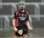 1 November 2015; Shaun Murphy, Oulart the Ballagh, celebrates at the end of the game. AIB Leinster GAA Hurling Senior Club Championship, Quarter-Final, Clough Ballacolla v Oulart the Ballagh. O'Moore Park, Portlaoise, Co. Laois. Picture credit: David Maher / SPORTSFILE