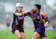 11 July 2009; Ursula Jacob, Wexford, in action against Regina Glynn, Galway. Gala Senior Camogie Championship, Group 2, Round 2, Wexford Park, Wexford. Picture credit: Matt Browne / SPORTSFILE